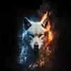 StormFault avatar