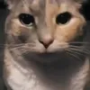 meow avatar