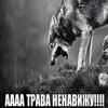 Svetl0e_Piv0 avatar