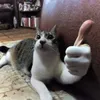 Сады Приколов avatar