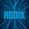 ⛟hodik⛟ avatar