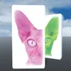 X_K avatar