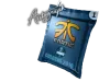 Autograph Capsule | Fnatic | Cologne 2016 Contenedores