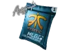 Autograph Capsule | Fnatic | MLG Columbus 2016 Контейнери