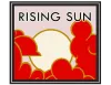 The Rising Sun Collection Konteynerler