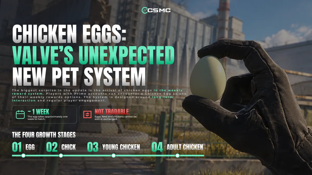 CS2 Rush Hour Update: Chicken Pets, C4 Stickers, New Game Mode and Hidden Secrets
