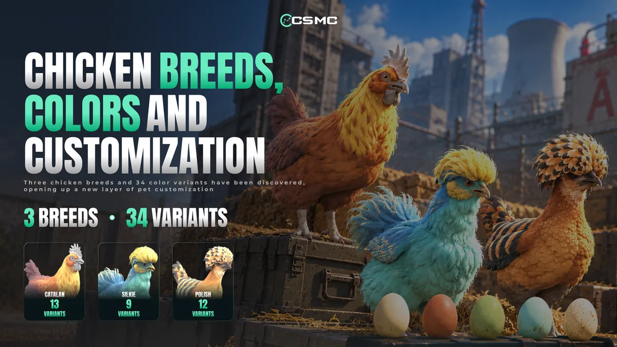 CS2 Rush Hour Update: Chicken Pets, C4 Stickers, New Game Mode and Hidden Secrets