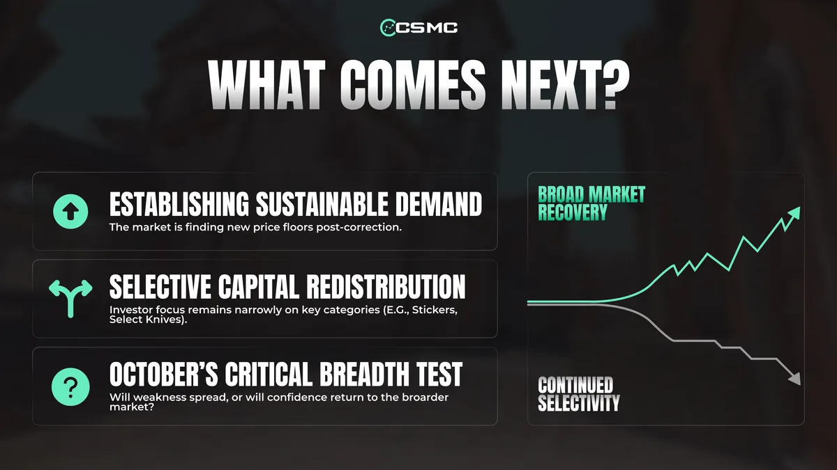 The CS2 Market in September 2026: Where the Money Went