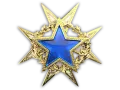 2015 Service Medal category item