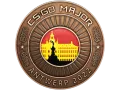 Antwerp 2022 Coin category item