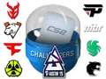 Austin 2025 Challengers Sticker Capsule category item