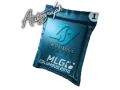 Autograph Capsule | Counter Logic Gaming | MLG Columbus 2016 category item