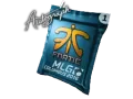 Autograph Capsule | Fnatic | MLG Columbus 2016 category item