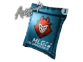 Autograph Capsule | G2 Esports | MLG Columbus 2016 category item