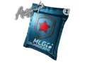 Autograph Capsule | Gambit Gaming | MLG Columbus 2016 category item