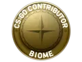 Biome Map Coin category item