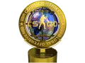 Champion at PGL Stockholm 2021 category item