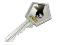 Clutch Case Key category item