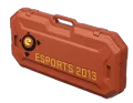 eSports 2013 Case category item