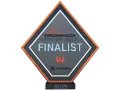 Finalist at DreamHack 2013 category item