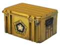 Gamma Case category item