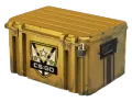 Huntsman Weapon Case category item
