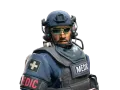 John 'Van Healen' Kask | SWAT category item