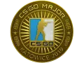 Katowice 2019 Gold Coin category item