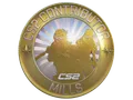 Mills Map Coin category item