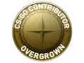 Overgrown Map Coin category item