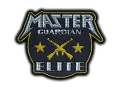 Patch | Metal Master Guardian Elite category item