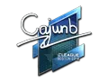 Sticker | cajunb (Foil) | Boston 2018 category item
