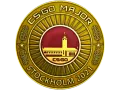 Stockholm 2021 Gold Coin category item