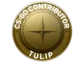 Tulip Map Coin category item