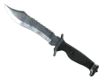 ★ Bowie Knife | Stained (Factory New) skin