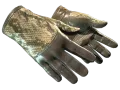 ★ Driver Gloves | Diamondback (Well-Worn) skin