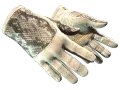 ★ Driver Gloves | King Snake (Factory New) skin