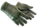 ★ Driver Gloves | Racing Green (Minimal Wear)