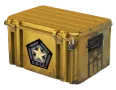 Gamma 2 Case