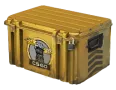 Glove Case