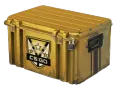 Huntsman Weapon Case