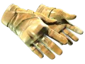 Motorradhandschuhe (★) | Transport (Abgenutzt) skin