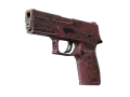 P250 | Bulaşıcı Atık (Fabrikadan Yeni Çıkmış) skin