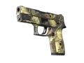 P250 | Contamination (Well-Worn) skin