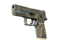 P250 | Exchanger (Minimalt slitage)