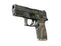 P250 | Exchanger (Välanvänd)