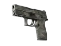 P250 | Facets (Välanvänd)