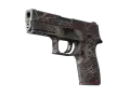 P250 | Facility Draft (Field-Tested)