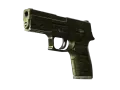 P250 | Iron Clad (Stridsärrad)