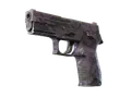 P250 | Plum Netting (Well-Worn)